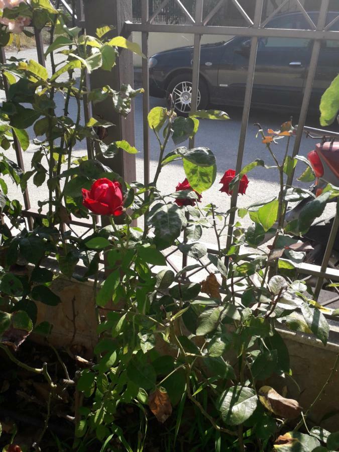 Villa Roses Skála Kallirákhis Esterno foto